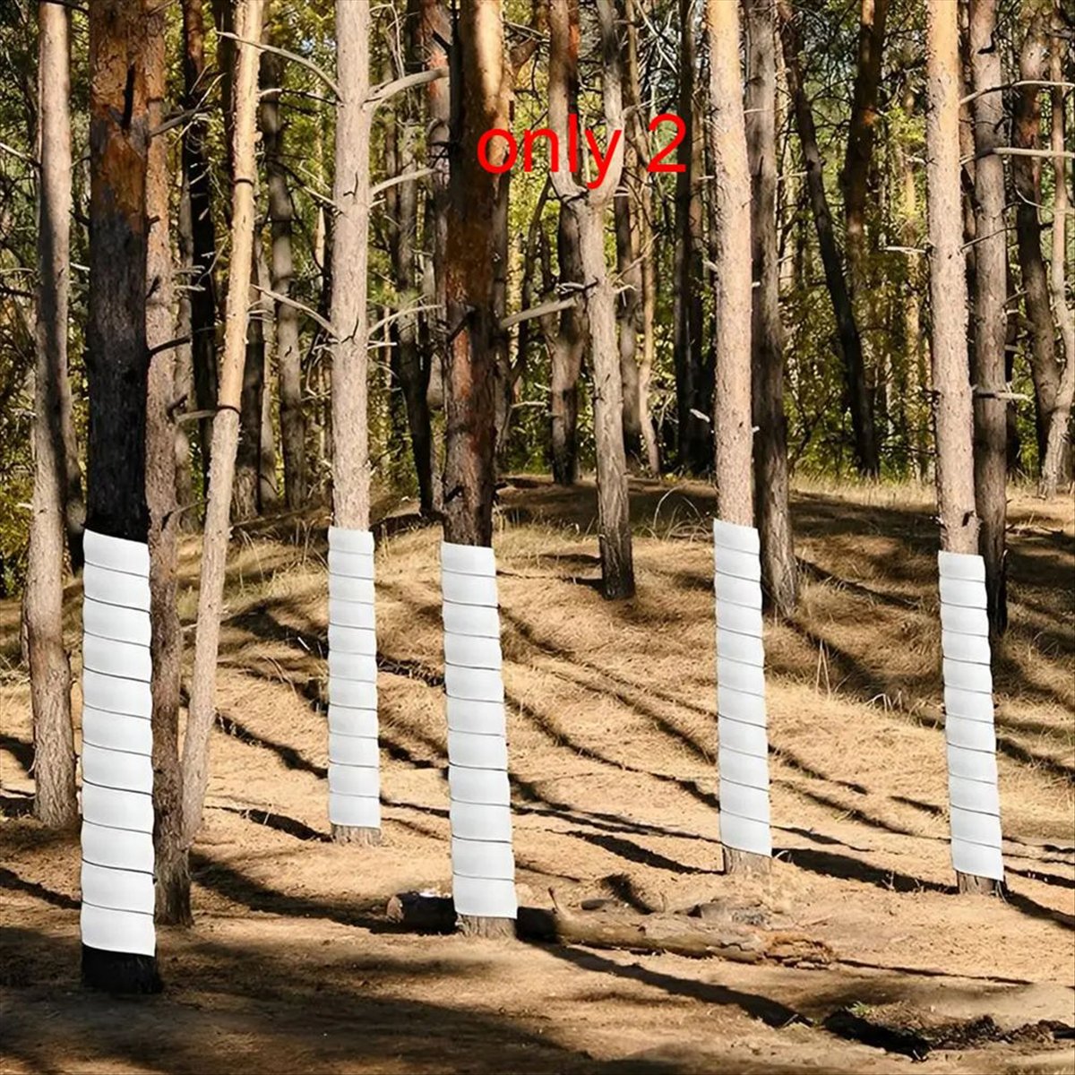 A75K Plant Tree Trunk Protecto - огляд і ціна Gardening Tools B&M