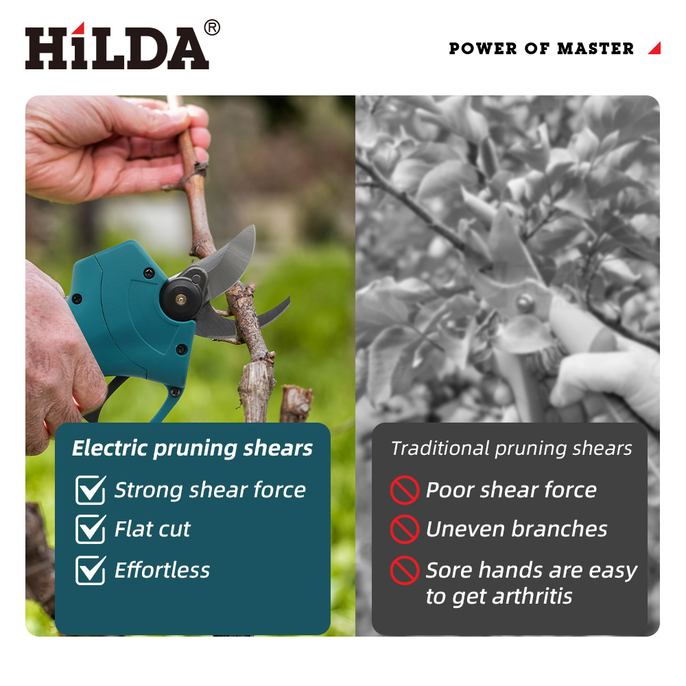 HILDA 18V Brushless Cordless E - огляд і ціна Gardening Tools Usa