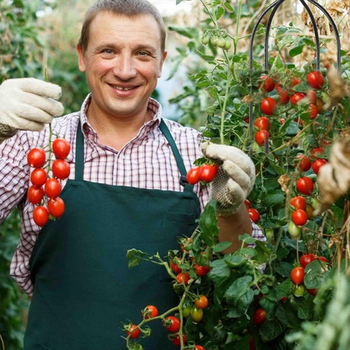 AT16 Climbing Plant Obelisk Tr - огляд і ціна Gardening Tools B&M