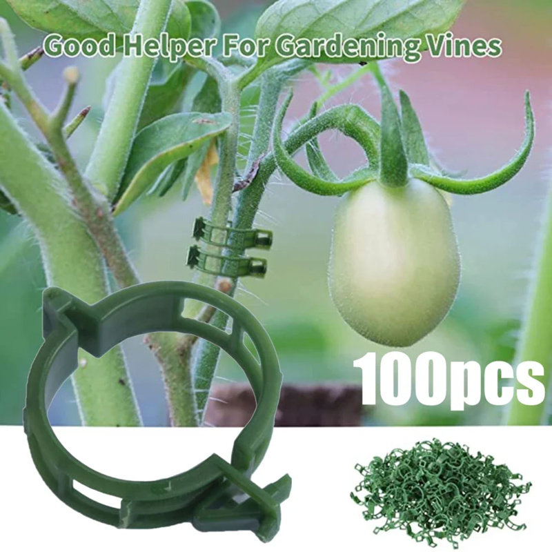 100 PCS/ Plant Support Clip Pl - огляд і ціна Gardening Tools Usa
