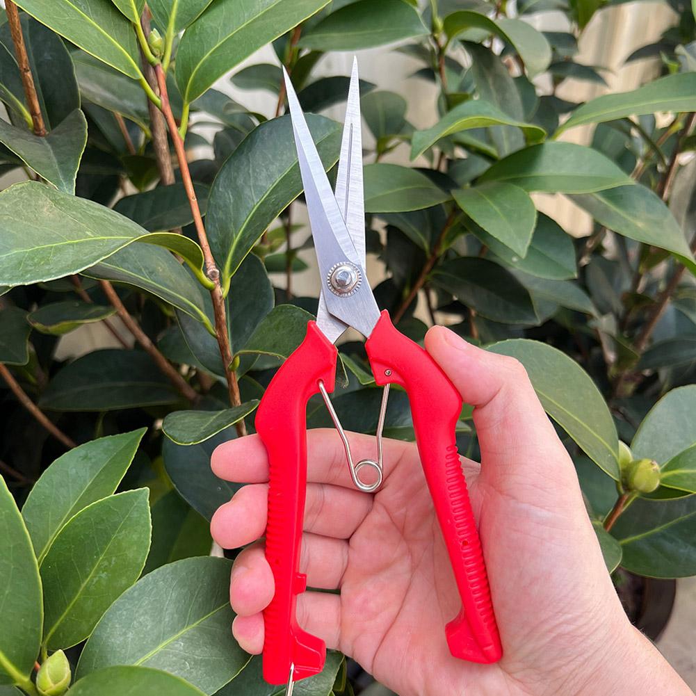 Pro Garden Pruning Shears Leng - огляд і ціна Gardening Tools Usa