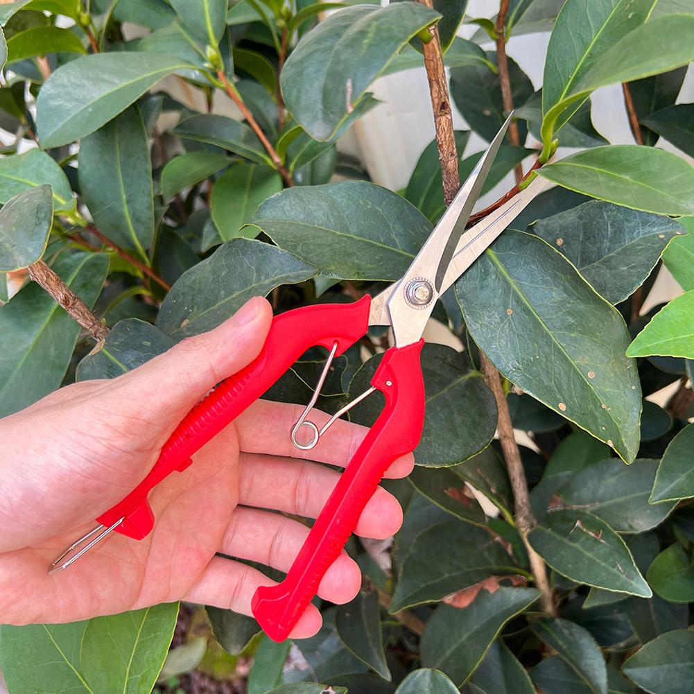 Pro Garden Pruning Shears Leng - огляд і ціна Gardening Tools Usa