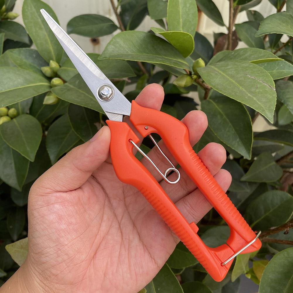 Pro Garden Pruning Shears Leng - огляд і ціна Gardening Tools Usa