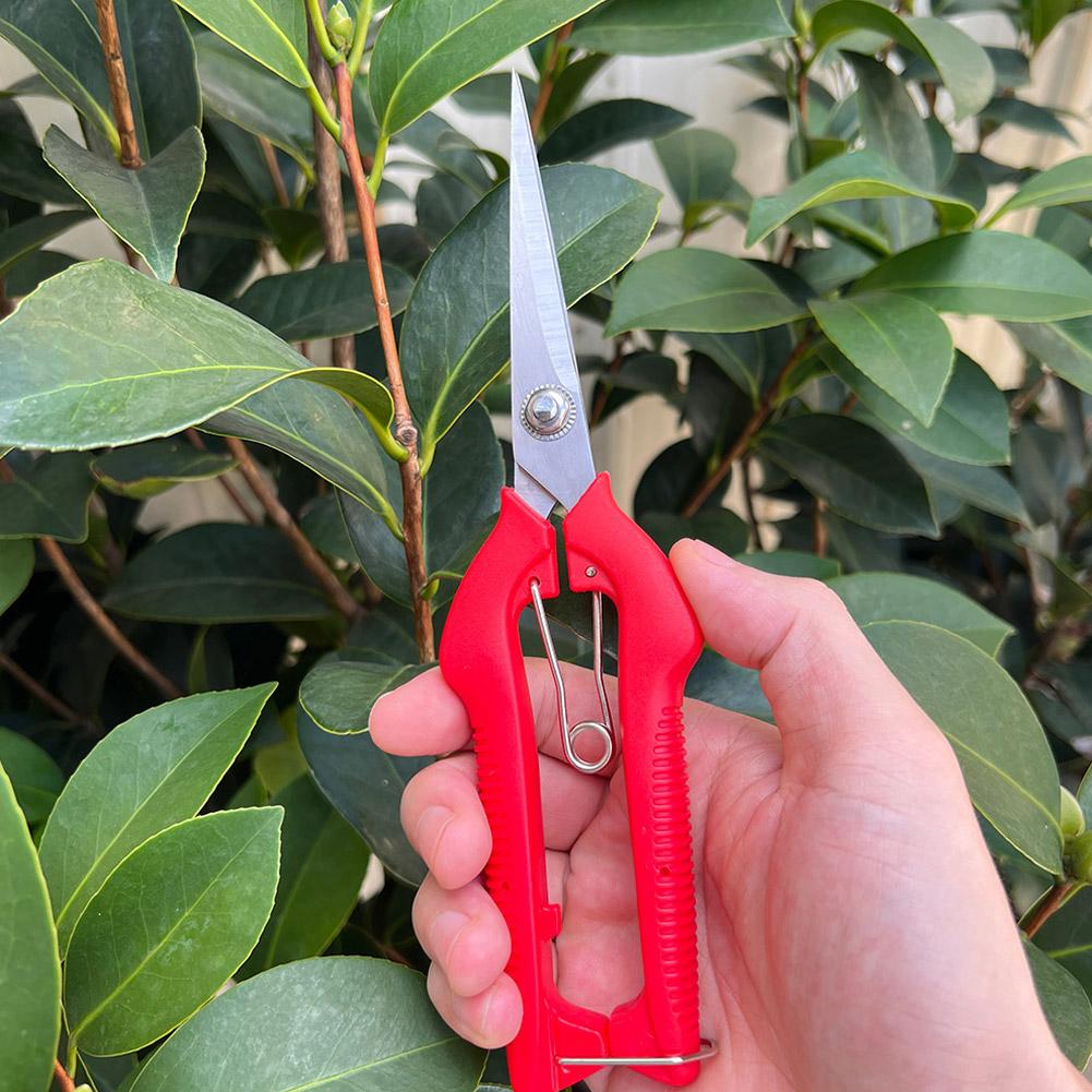 Pro Garden Pruning Shears Leng - огляд і ціна Gardening Tools Usa